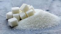 White Refined Sugar Icumsa 45