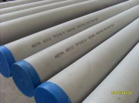 Sell Stainless Steel TP316 Pipe