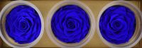 3 pcs Preserved Immortal Eternal Dried Blue Flowers Rose for Birthday Party Wedding Decorative