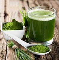 Sell Hot Sale Barley Grass Green Powder With Good Quality and Low Price