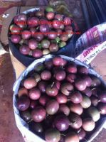 Fresh Passion Fruit for sale with low price