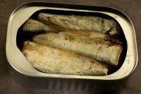 Best Canned Sardine 125G in oil