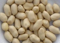 grade A blanched peanut kernel for sale