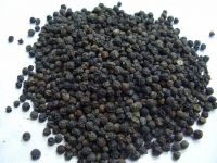 BLACK PEPPER/ PEPPER SEED & WHITE PEPPER 630 GL