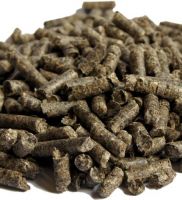 Beet Pulp Pellet / Sugar Beet Pulp Pellets / High Quality Dry Sugar Beet Pulp