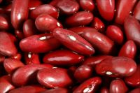 Dark Red Kidney bean 2016 crop HPS size:200-220pcs/100g