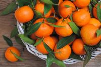 FRESH MANDARIN for sale