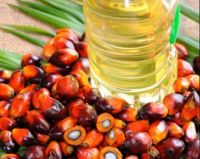 RED PALM OIL/REFINED PALM OIL/PALM KERNEL OIL