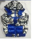 Boy's 100% Polyester (Cotton Padding) Hood Jacket