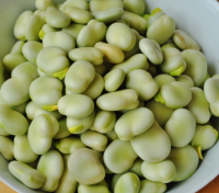 Broad Beans