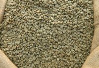 Raw Coffee Beans