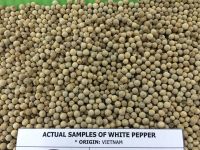 White pepper in Vietnam 2017