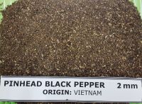 Pinhead pepper Vietnam 2017
