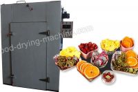 Single door hot air food drying machine