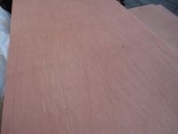wholesale commercial plywood poplar core AB garde