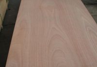 fancy veneer red oak maple teak beech pine plywood