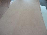 bintangor face and back hardwood core commercial plywood