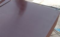 Reusable 8-10 times marine plex film faced plywood