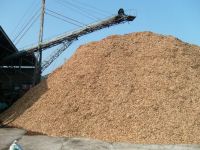 Rubber Wood Chip