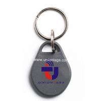 EM4305 EM4200 125khz door blank key fob