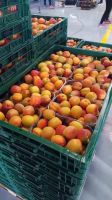 Fresh Fruits from Tunisia, Spain and Italia