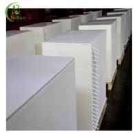 300g Folding Box Board for Food Packaging