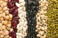 Beans, White kidney bean