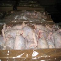 Halal and non Halal Quality Grade Frozen Chicken Feet, Paws, Breast, Whole Chicken, Legs and Wings