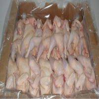 100% Halal Frozen Processed & Unprocessed Chicken Feet and Paws