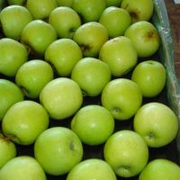 fresh apple, cheap price, Apples, Pears, Grapes, Lemons, Peaches, Nectarines, Plums Bulk