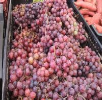 Organic Fresh Grapes Seedless, Crimson Fresh Grapes, Seedless Grapes For Sale