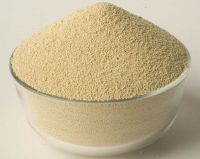 High Protein Quality Soybean Meal for Animal Feed