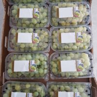 Fresh Grapes, Fresh Fruits, South Africa Fresh fruit exporter