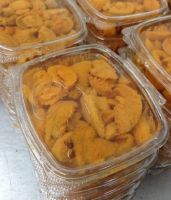 frozen and fresh sea urchin for sale