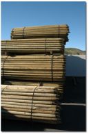 HARD WOOD POLE (+84987 635 199)