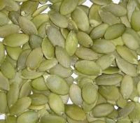 Chinese shelled Pumpkin seeds from Inner Mongolia