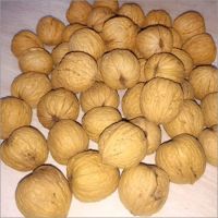 whole walnut in shell