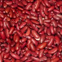 dark red kidney beans chinese dark red kidney beans