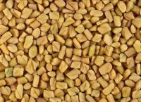 Fenugreek Seeds