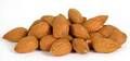 Almond Nuts, Apricot Kernels, Betel Nuts, Brazil Nuts, Canned Nuts, Cashew Nuts, Chestnuts