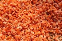 Dried Baby Shrimp - Low Price - Good Quality