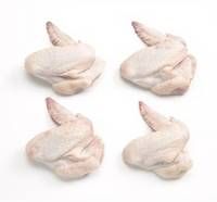 Top quality Frozen Whole Chicken, Chicken Feet, Wings, Legs