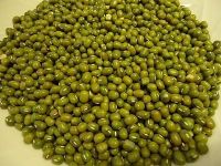 mung beans