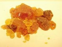 Gum Arabic