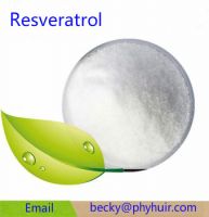 Resveratrol 98% Extract Powder in stock in US