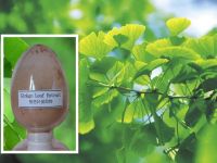 Good quality good price Natural Gingko Biloba Extract