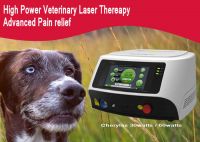 Veterinary Diode Laser Canine Laser Therapy