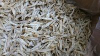 Dried, Frozen, Salted Anchovy Fish, shrimps, seafood
