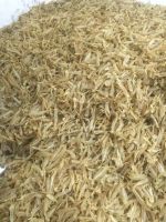 Quality Dried Fish Maws Ghol Male for Wholesale