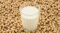 Soybean milk powder, soybean extract, soy milk powder